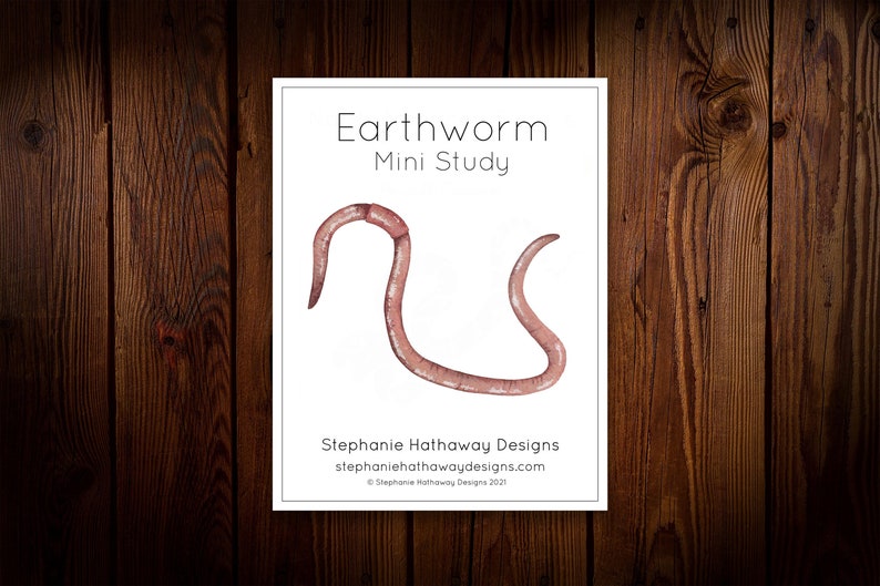 Earthworm Mini Study - Etsy