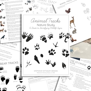 May include: A white paper titled "Animal Tracks Nature Study" with various animal track illustrations in black. The paper includes text such as "A Guide to Identifying Wildlife Signs" and "Stephanie Hathaway Designs".