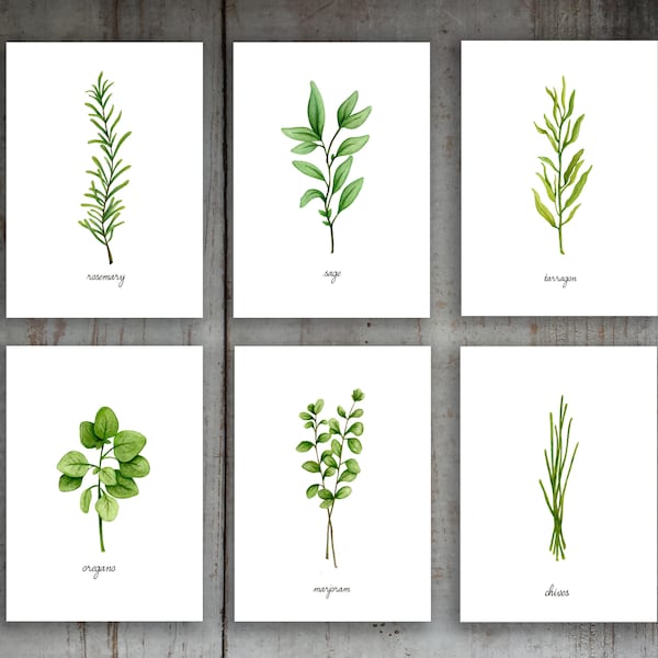 Kitchen Herbs Watercolor Illustration Art Print Set of 6 Option 1 Printable Instant Download