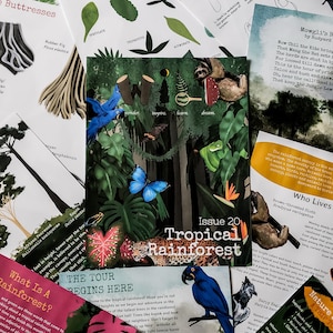 WILD Mag Issue 20: Tropical Rainforest