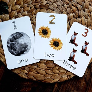 May include: Three white cards with numbers 1, 2, and 3. The card with the number 1 has a black and white moon. The card with the number 2 has two yellow sunflowers. The card with the number 3 has three brown foxes. The cards also have the words "one", "two", and "three" written on them.