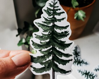 Evergreen Tree Sticker