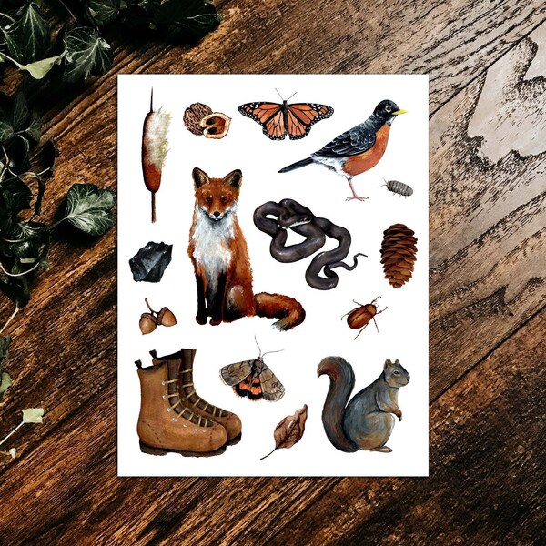 Nature Finds and Curiosities Art Print