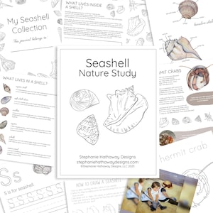 Op de afbeelding: Educatieve printables over zeeschelpen. De centrale pagina heet "Seashell Nature Study" en bevat lijntekeningen van schelpen. Andere pagina's bevatten tekst en illustraties over schelpen en krabben.