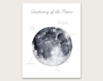 Anatomy of the Moon