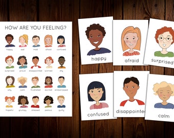 Feelings and Emotions Poster and Flashcards