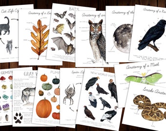 Halloween Nature Study Collection