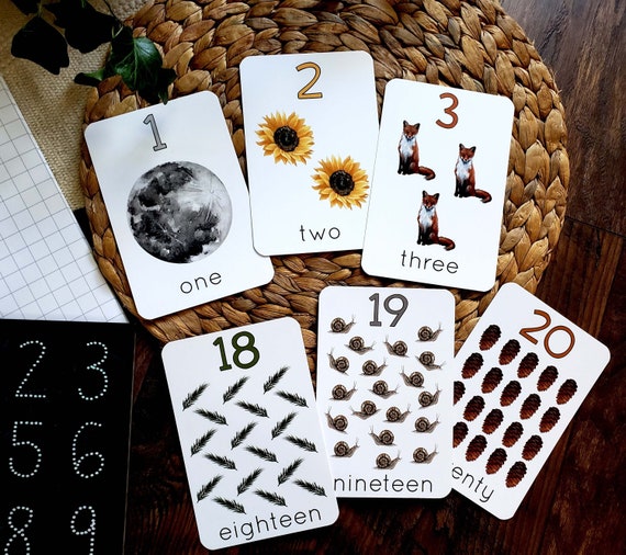 Numbers 1-20 Backyard Nature Flashcards