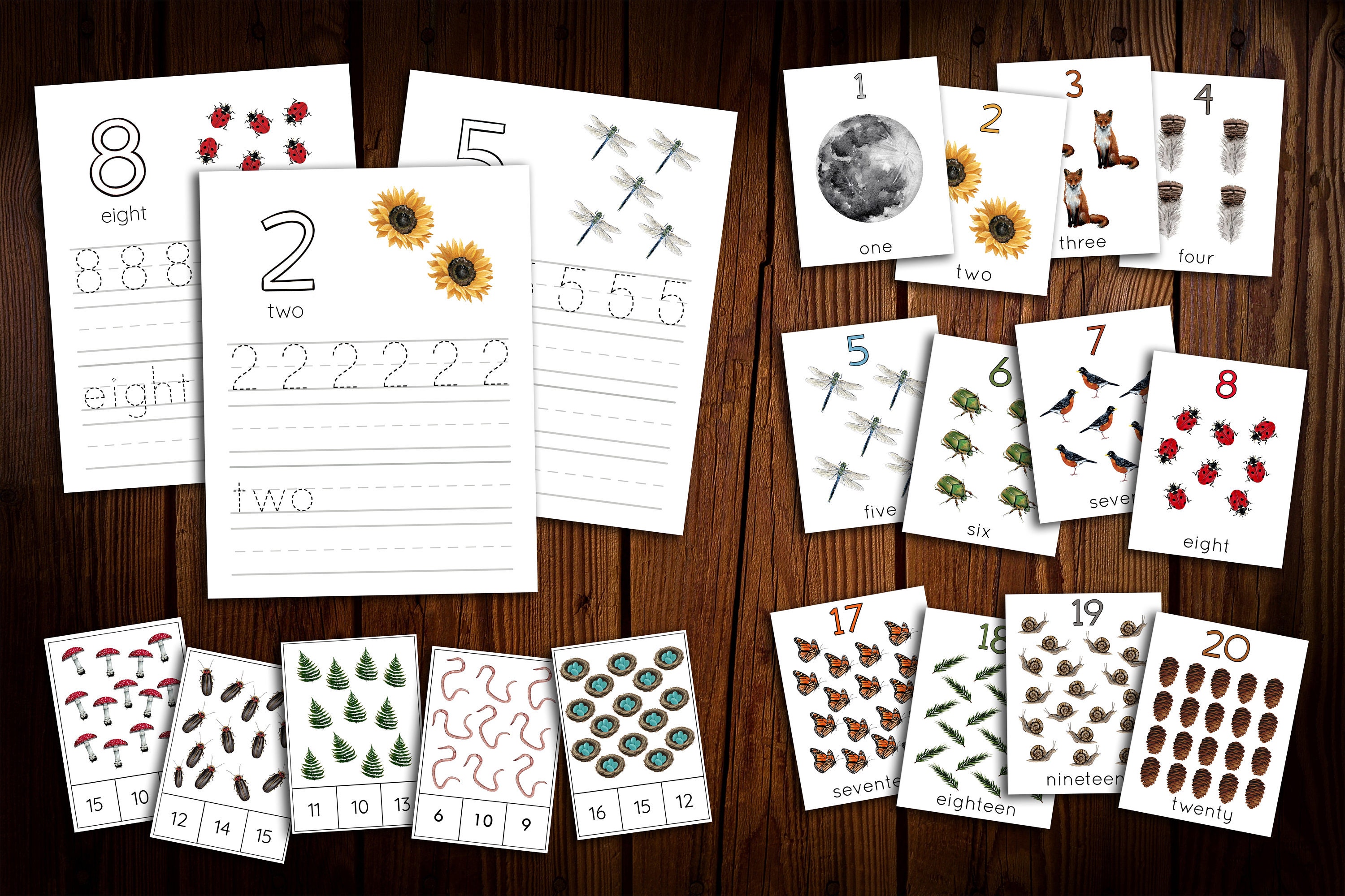 Backyard Nature Numbers 1-20 - Etsy
