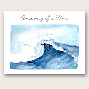 Anatomy of a Wave Poster/Art Print