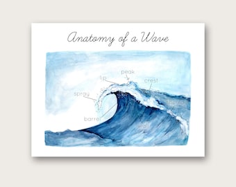 Anatomie einer Welle Poster/Kunstdruck