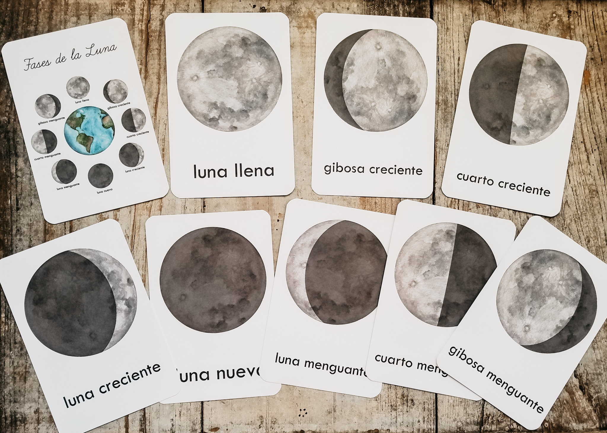 SPANISH Moon Phases Flash Cards in Spanish | Etsy