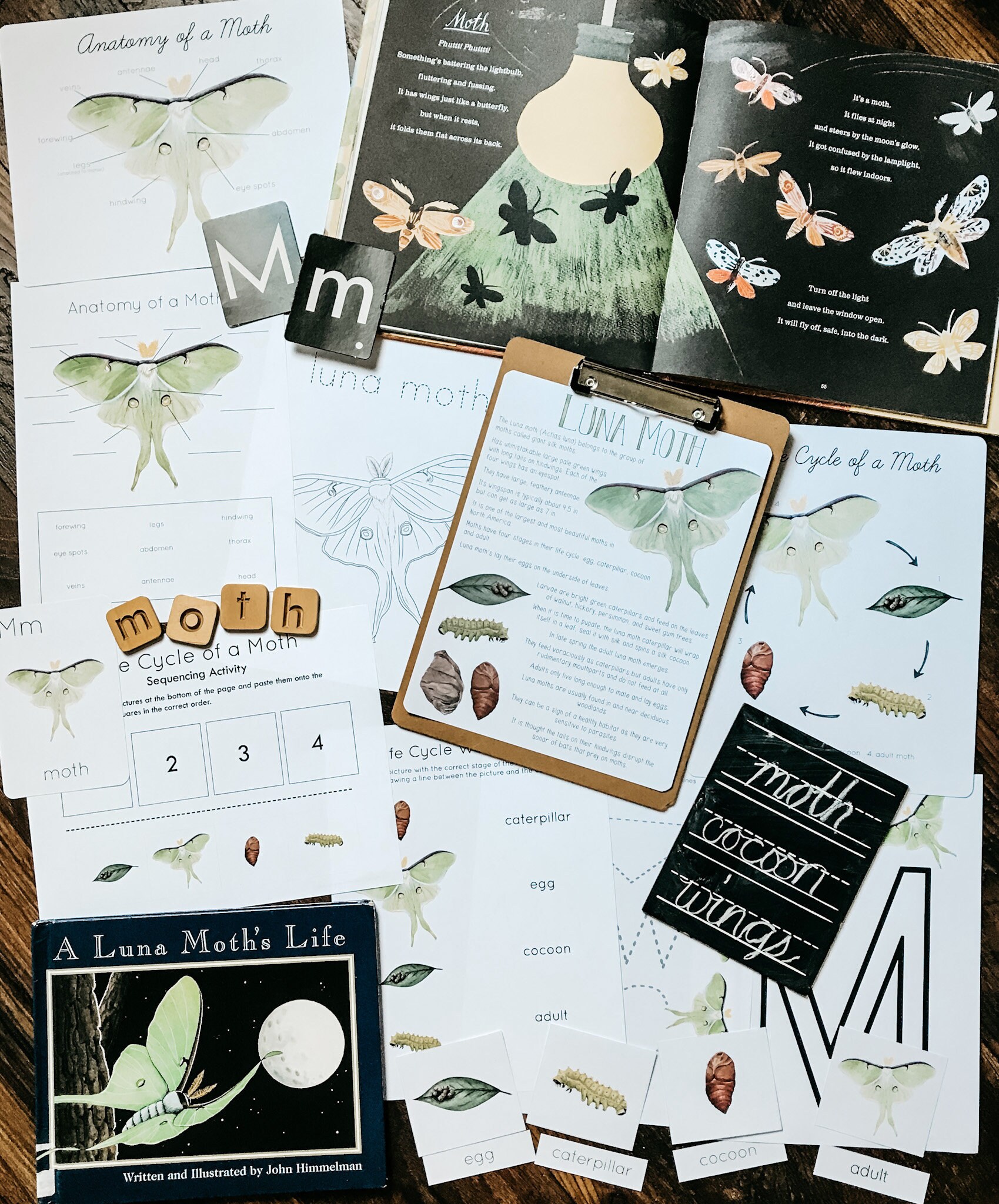 Minibeast Nature Study Vol. 1 - Etsy