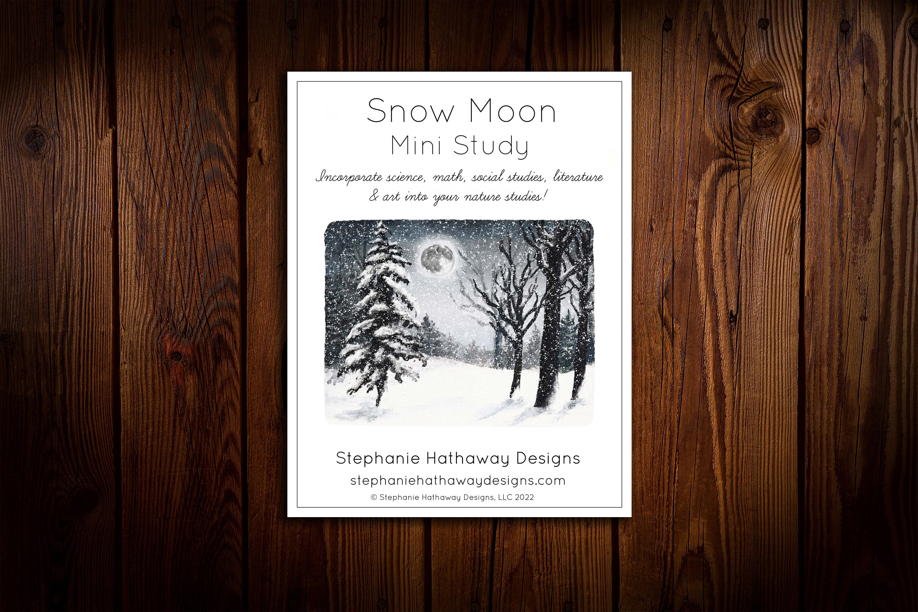 Snow Moon Mini Nature Study - Etsy