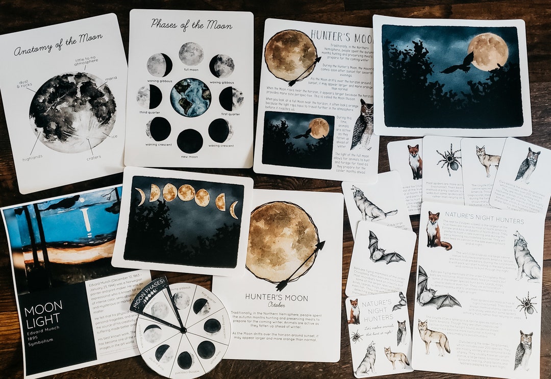 Hunter's Moon Mini Nature Study - Etsy