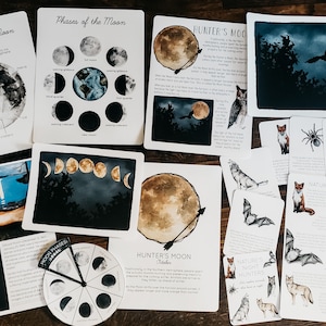 May include: A set of educational cards about the moon and its phases, with illustrations of the moon, animals, and nature. The cards include text about the Hunter's Moon, Nature's Night Hunters, and the anatomy of the moon.