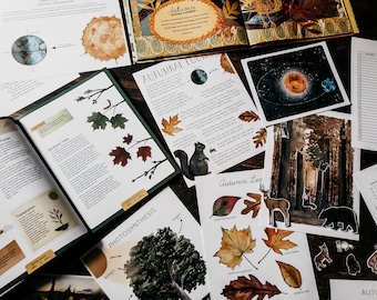 Autumnal Equinox Mini Nature Study