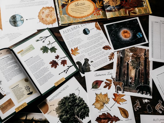 Autumnal Equinox Mini Nature Study - Etsy
