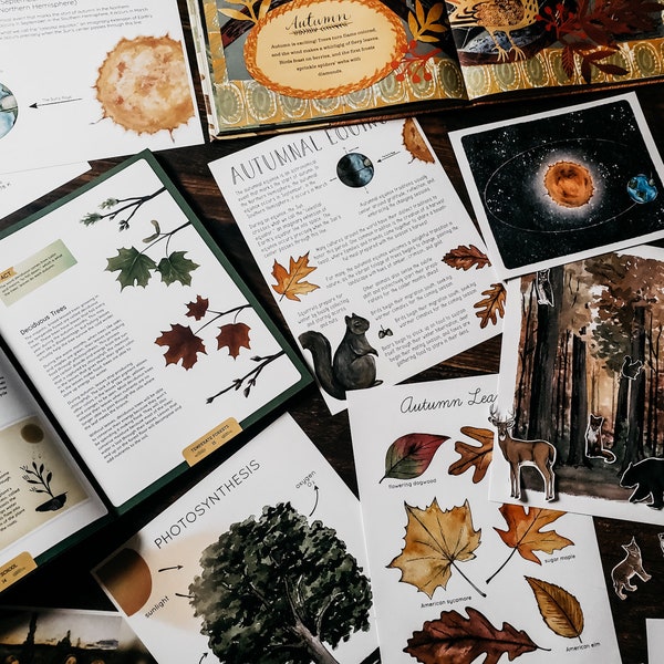 Autumnal Equinox Mini Nature Study