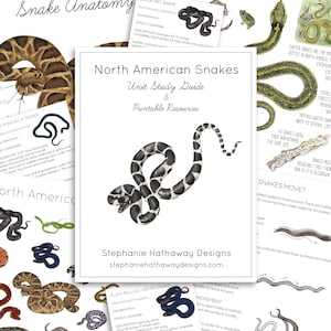North American Snake Unit Study