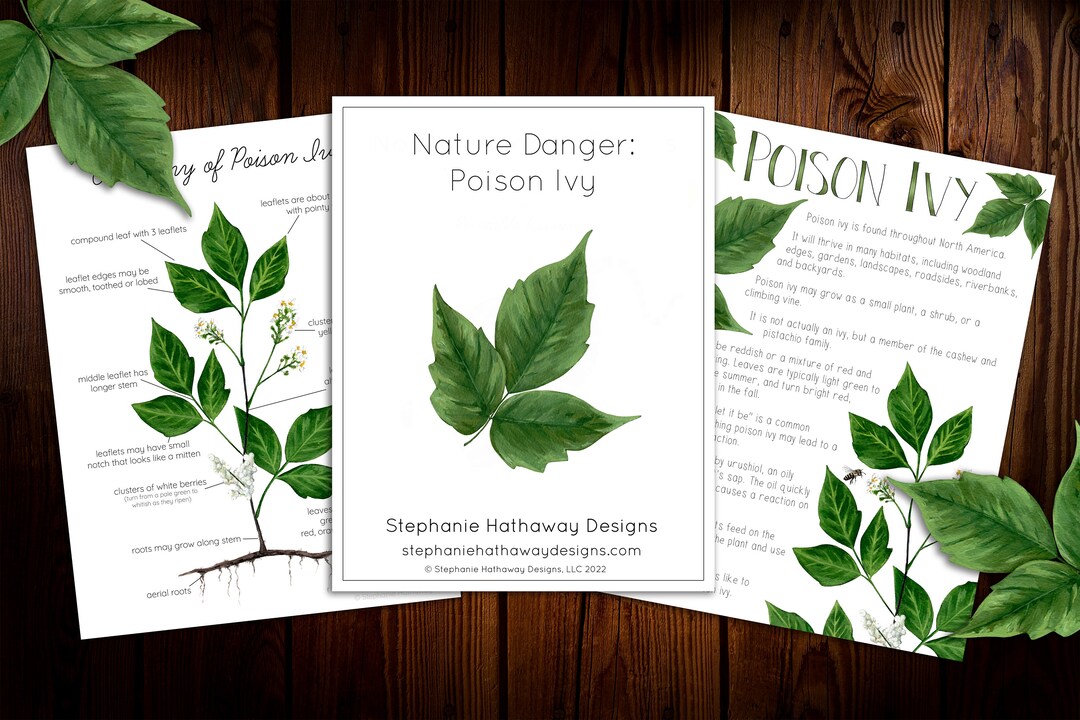 Poision Ivy Nature Danger Mini Nature Study - Etsy