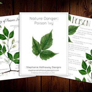 Poision Ivy Nature Danger Mini Nature Study