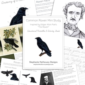 Raven Mini Unit Study