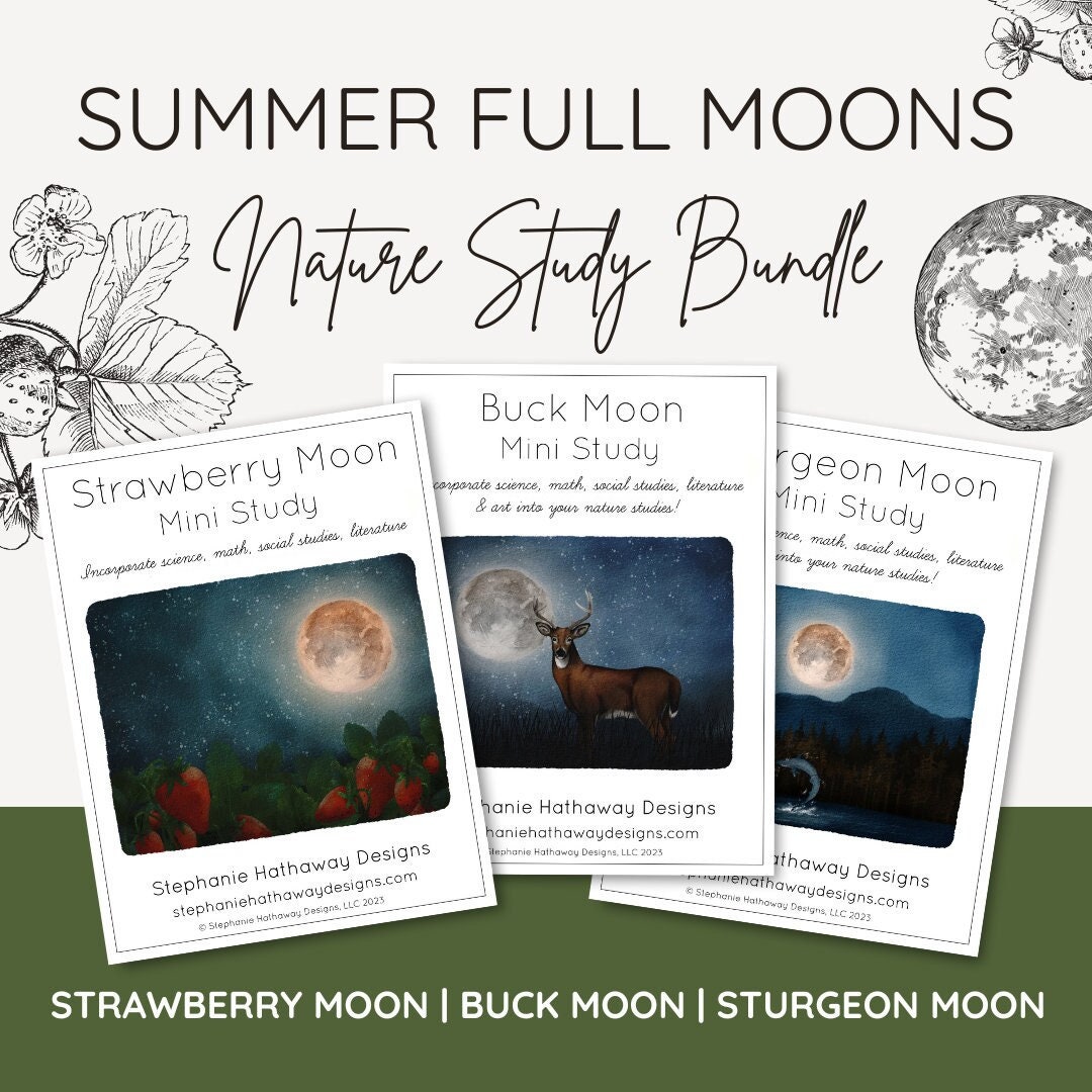 Summer Full Moon Bundle - Etsy