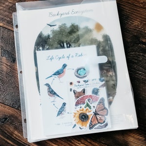 May include: A clear plastic binder with a white sheet inside. The sheet has a watercolor illustration of a backyard ecosystem with a robin's life cycle. The illustration includes a robin's egg, a hatching robin, a juvenile robin, and an adult robin. The sheet also includes the text "Backyard Ecosystem" and "Life Cycle of a Robin".