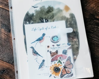May include: A clear plastic binder with a white sheet inside. The sheet has a watercolor illustration of a backyard ecosystem with a robin's life cycle. The illustration includes a robin's egg, a hatching robin, a juvenile robin, and an adult robin. The sheet also includes the text "Backyard Ecosystem" and "Life Cycle of a Robin".
