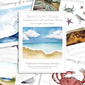 Beach Unit Study