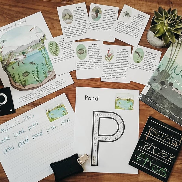 Pond Unit Study Bundle