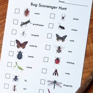 Bug Preschool/Early Education Bundle image 8