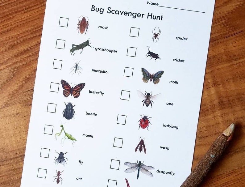 Bug Preschool/Early Education Bundle image 8