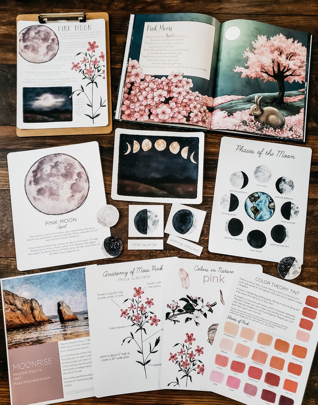 Pink Moon Mini Nature Study - Etsy