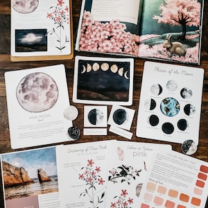 May include: A set of educational cards featuring watercolor illustrations of the moon phases, a pink moon, and a pink flower. The cards include text about the moon phases, the pink moon, and the anatomy of moss pink.