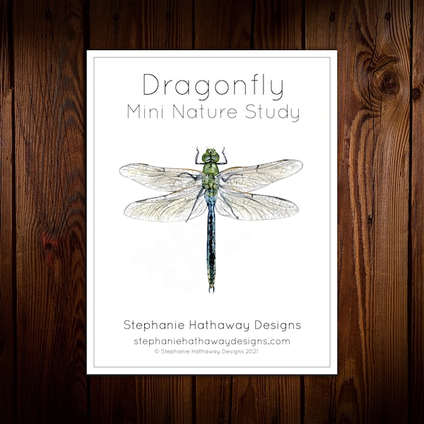 Dragonfly Mini Nature Study