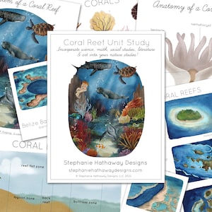 Coral Reef Unit Study