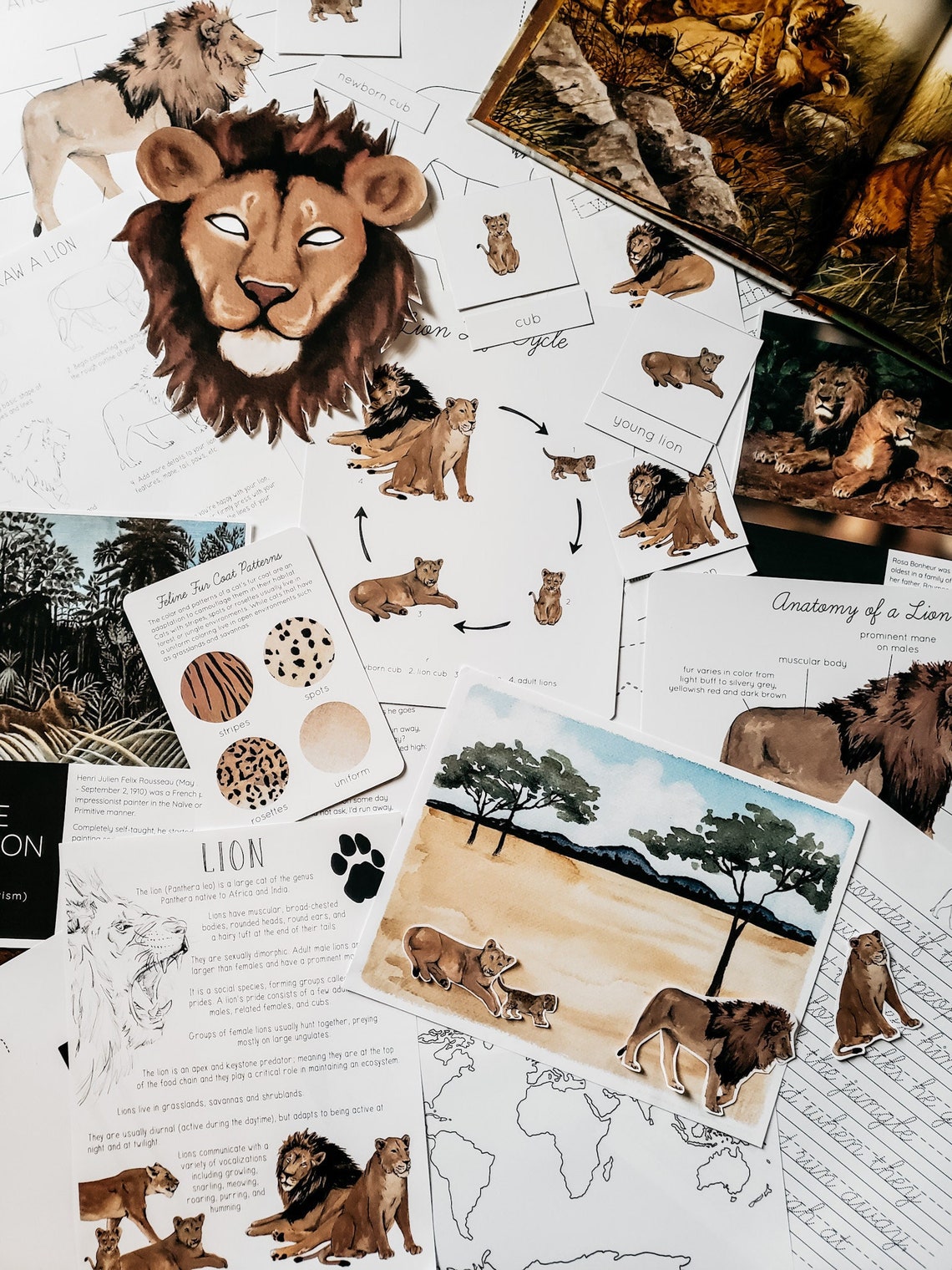 Lion Mini Nature Study - Etsy