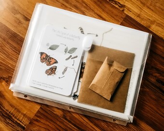 Painted Lady Butterfly Mini Study Physical Bundle