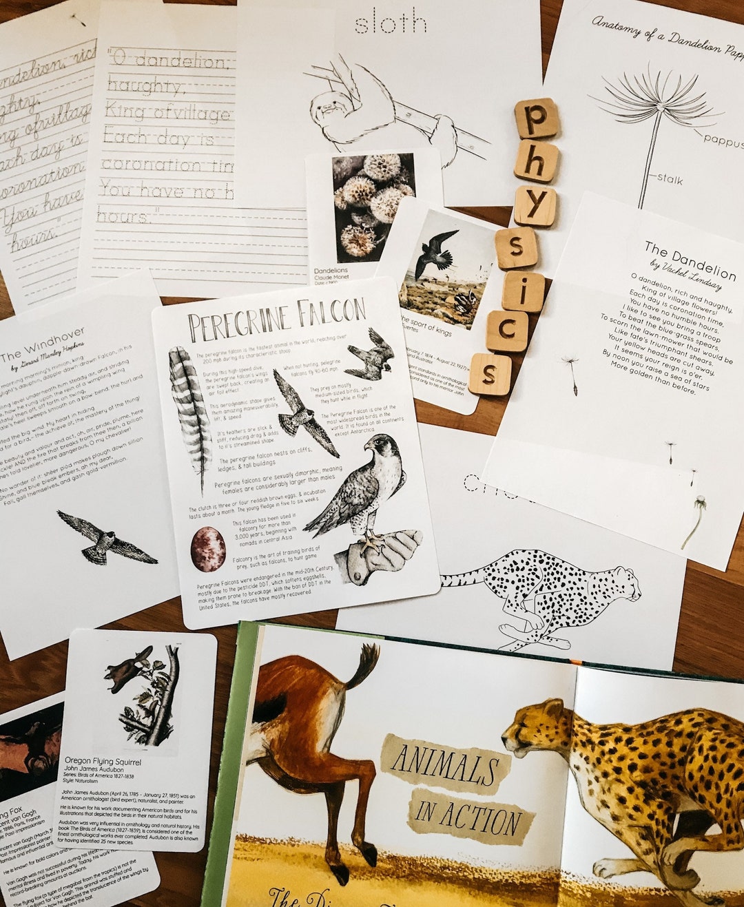 Physics in Nature Unit Study - Etsy