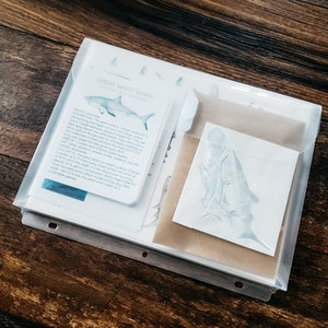 Shark Unit Study Physical Bundle