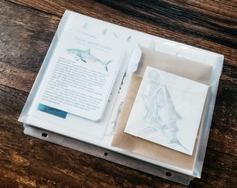 Shark Unit Study Physical Bundle