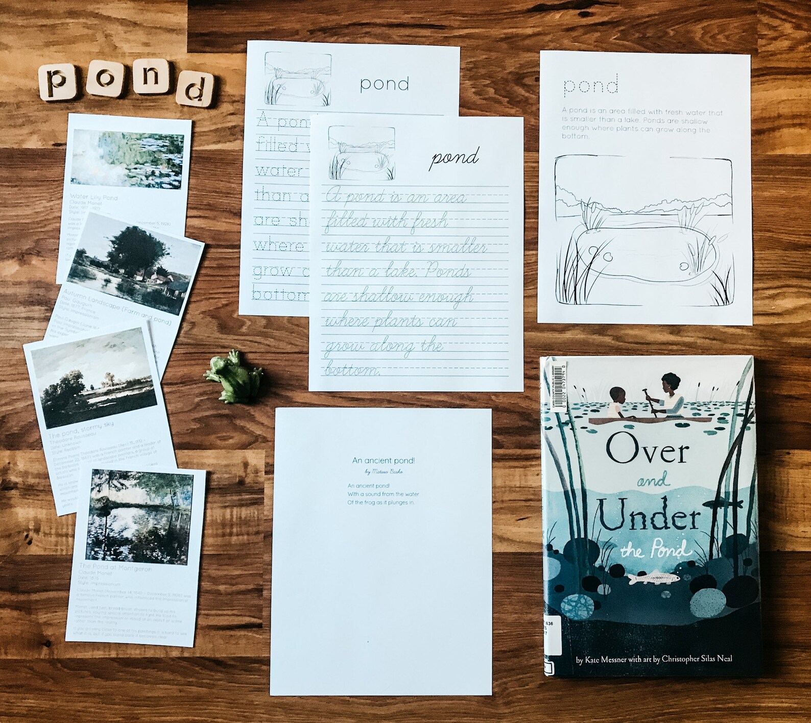 Pond Unit Study Bundle - Etsy