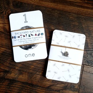 May include: A set of 20 number flashcards featuring illustrations of backyard nature. The card shown is number one with a black and white illustration of the moon and the word "one" printed below. The back of the card features a white background with a repeating pattern of dandelion seeds.