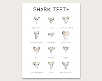 Shark Teeth Poster/Art Print