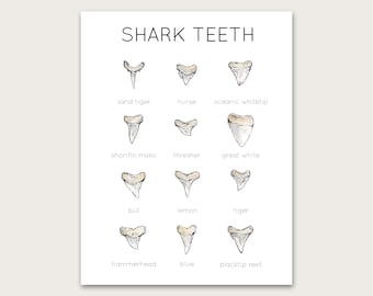 Shark Teeth Poster/Art Print