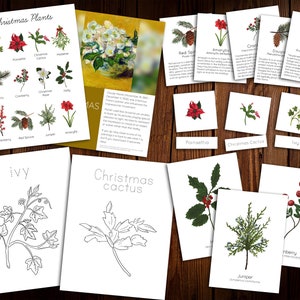 Christmas Plant Mini Study and Advent Bundle
