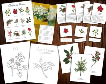 Christmas Plant Mini Study and Advent Bundle