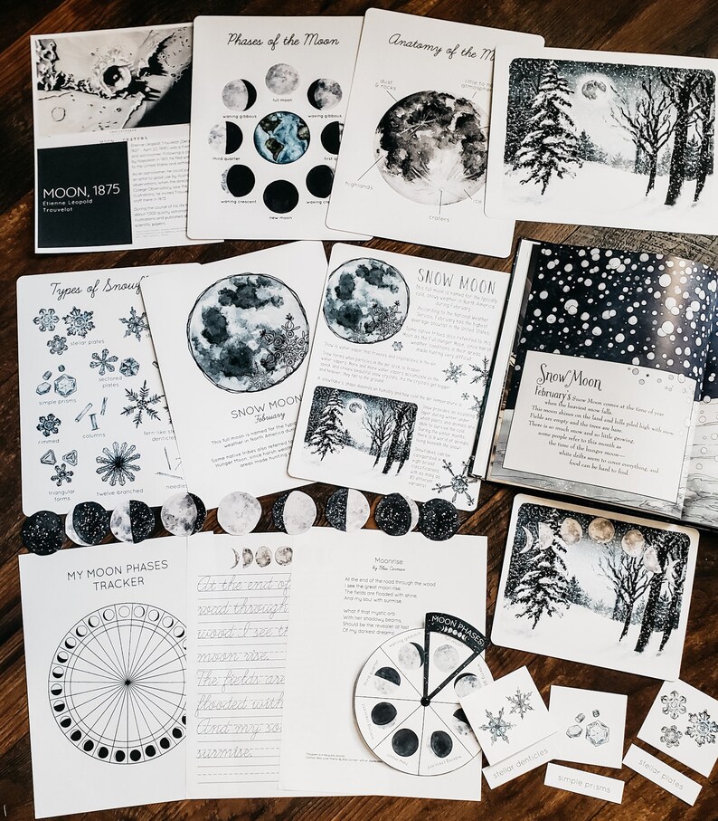 Snow Moon Mini Nature Study - Etsy